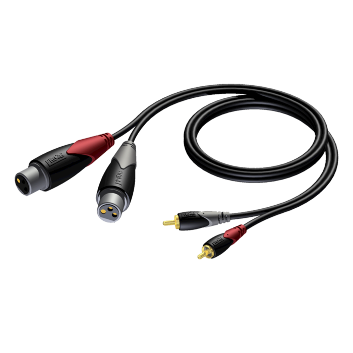 2 CINCH / 2 XLR F